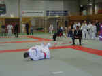 Ippon (fallseier) til Vidar.jpg (49094 bytes)