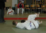 Vidar_ippon.jpg (62265 byte)